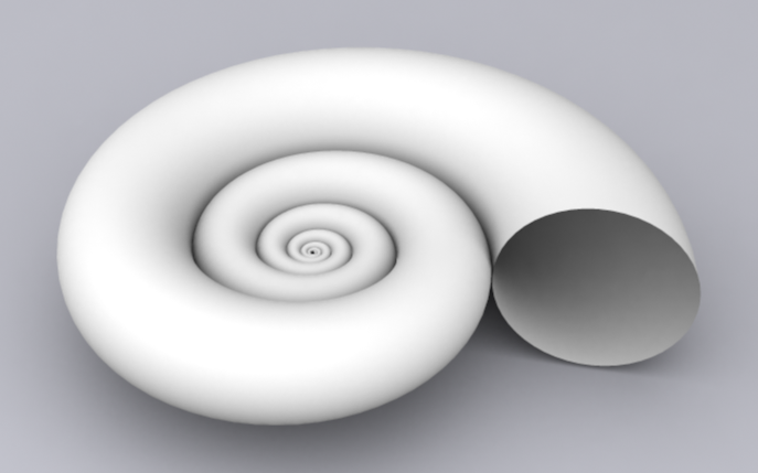 Snail Astroceras.png